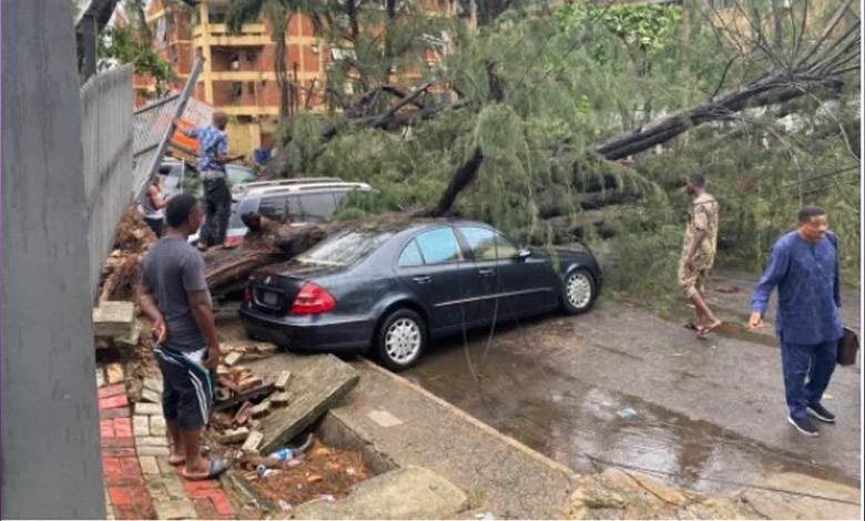 No one was injured as Rainstorm uproots trees, destroys cars in Lagos