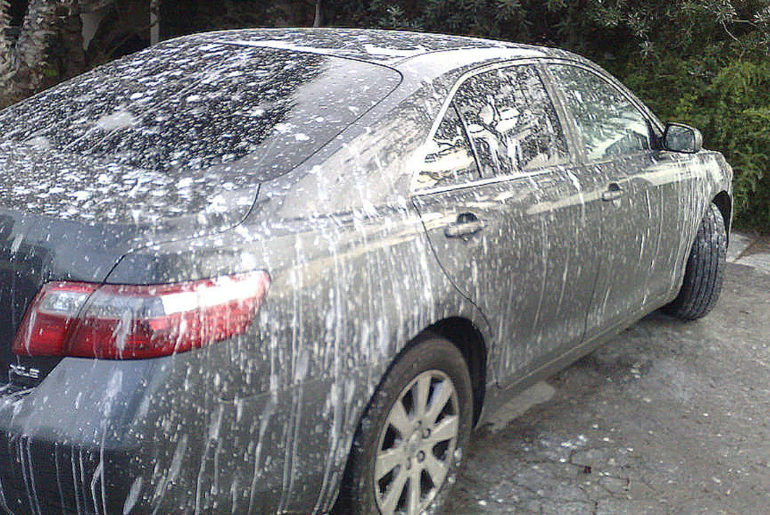 This Is Exactly How Bird Poop Can Damage Your Car Paint in Just 1 Day