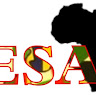 iefsafrica Group